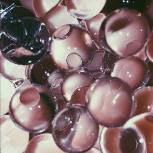 Meet your Posher, Sadie